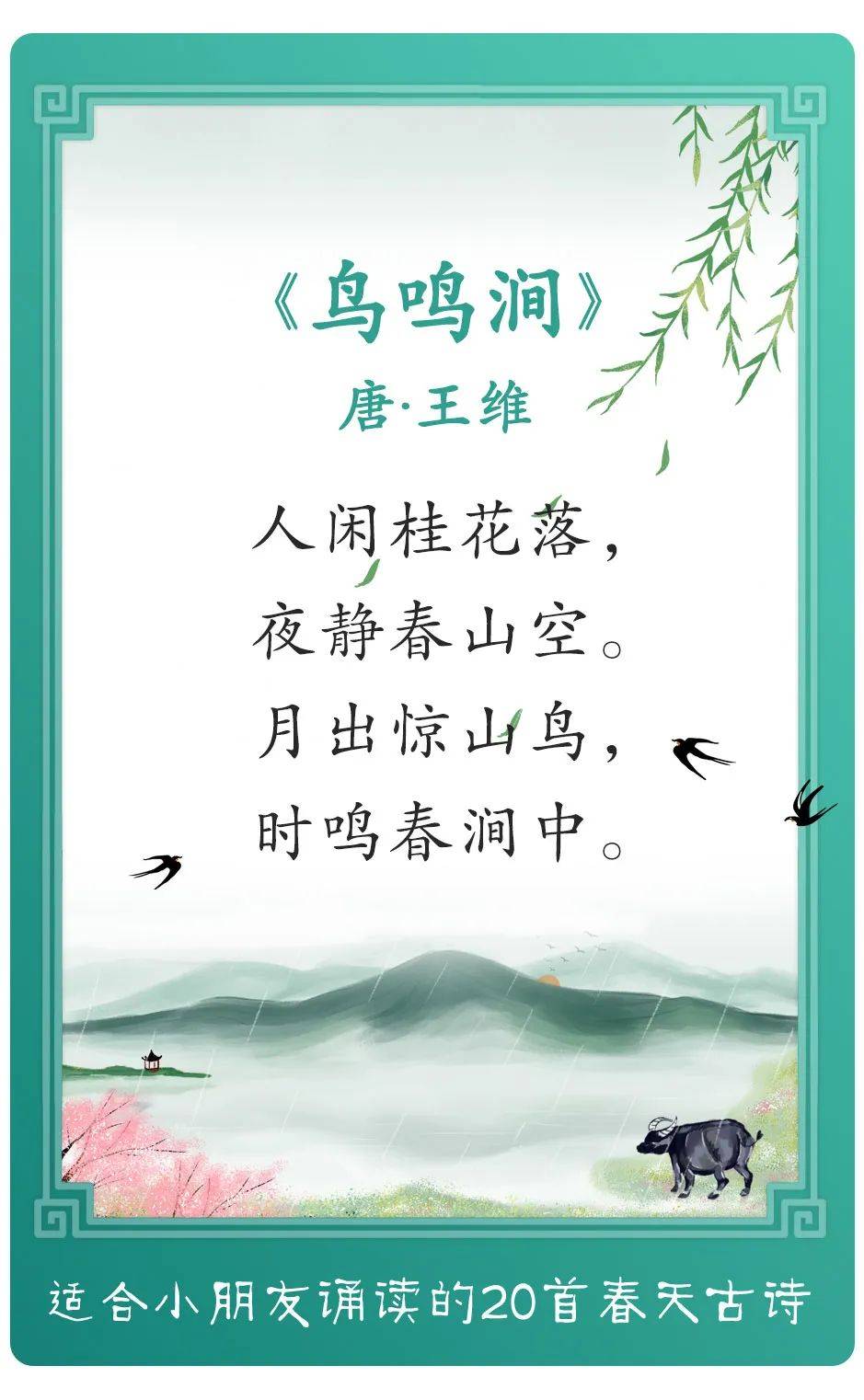 双白秋