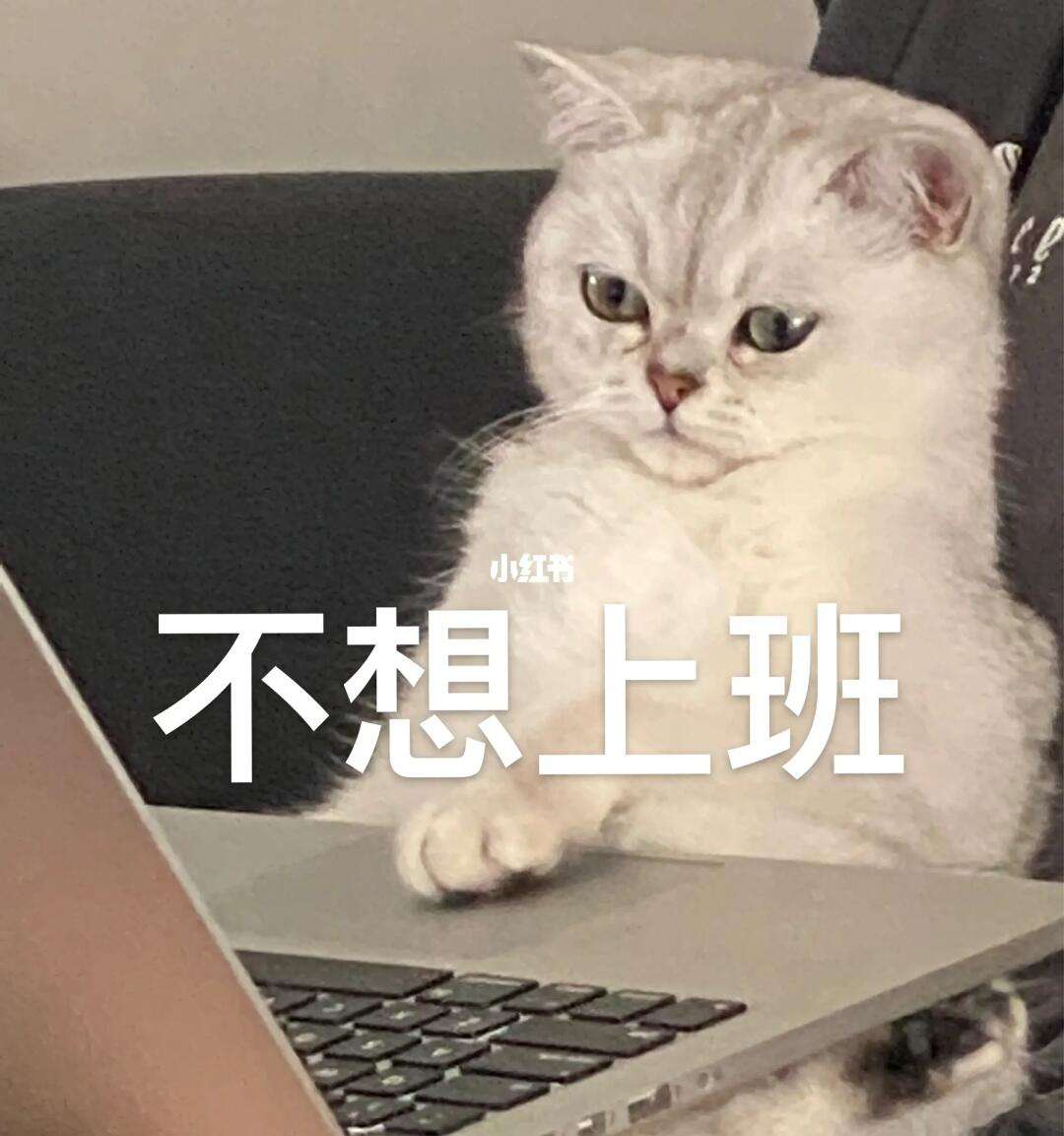 不想上班了怎么办,能做点什么