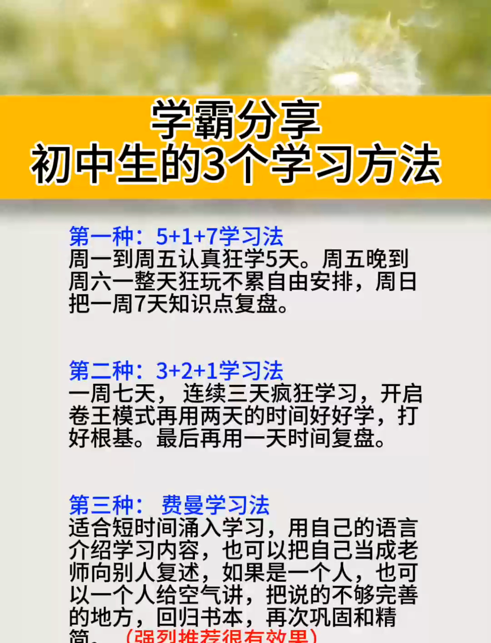 初中生成为学霸的秘诀