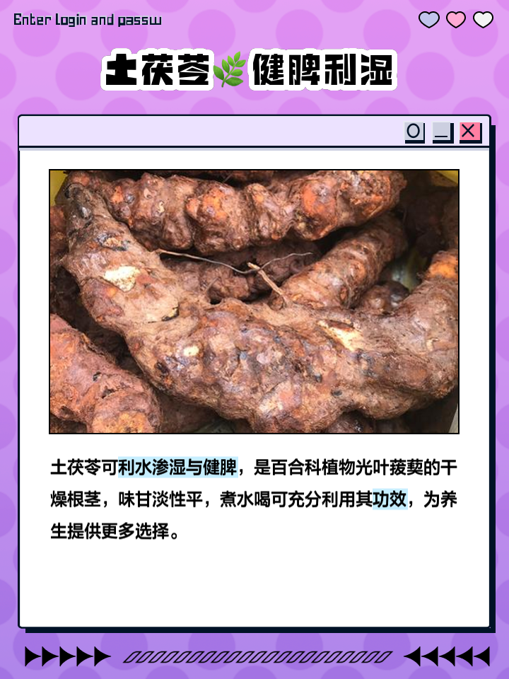 茯苓一杯水能泡几次