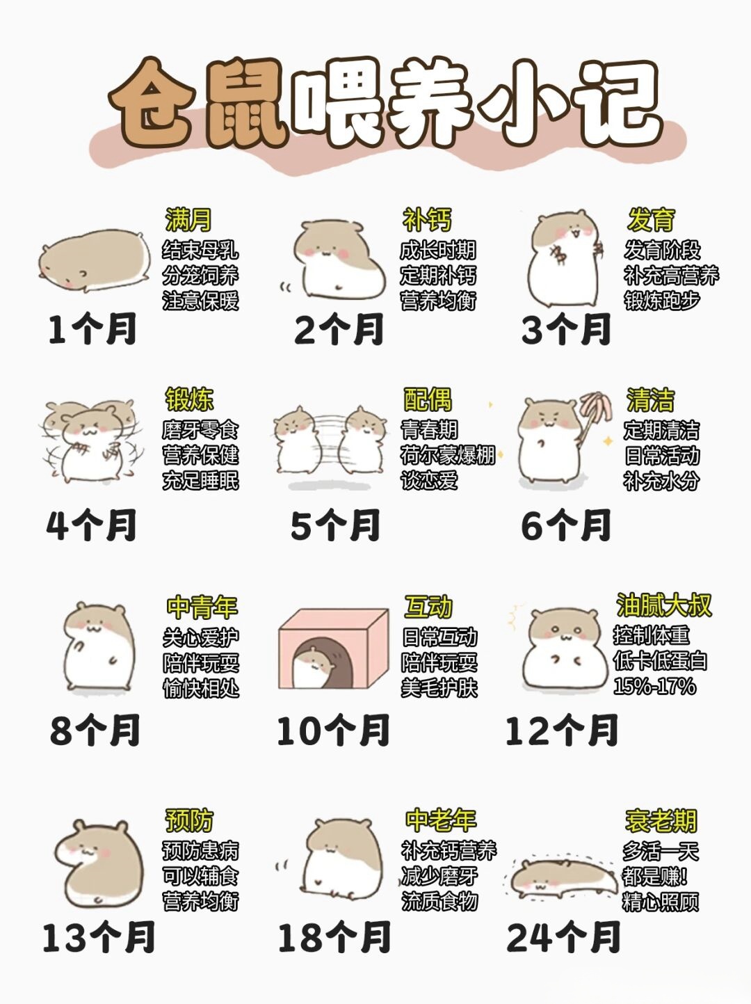 仓鼠养殖方法和注意事项