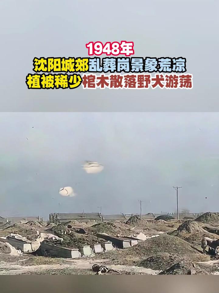 昼坐荒凉什么意思