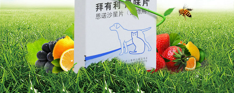 箕凌晴
