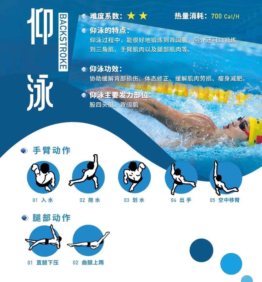 自由泳怎么游得省力