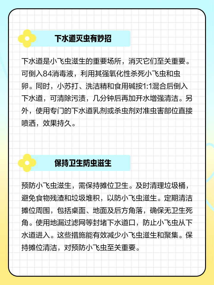 小飞虫怎么消灭小妙招窍门