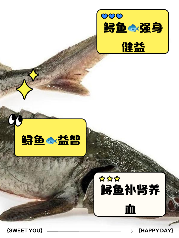 鲟鱼怎么去鳞片?掌握好这个技巧