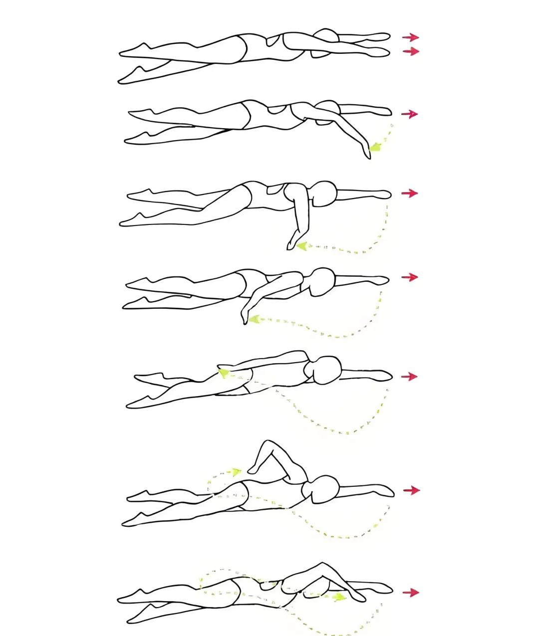 自己学游泳的教程