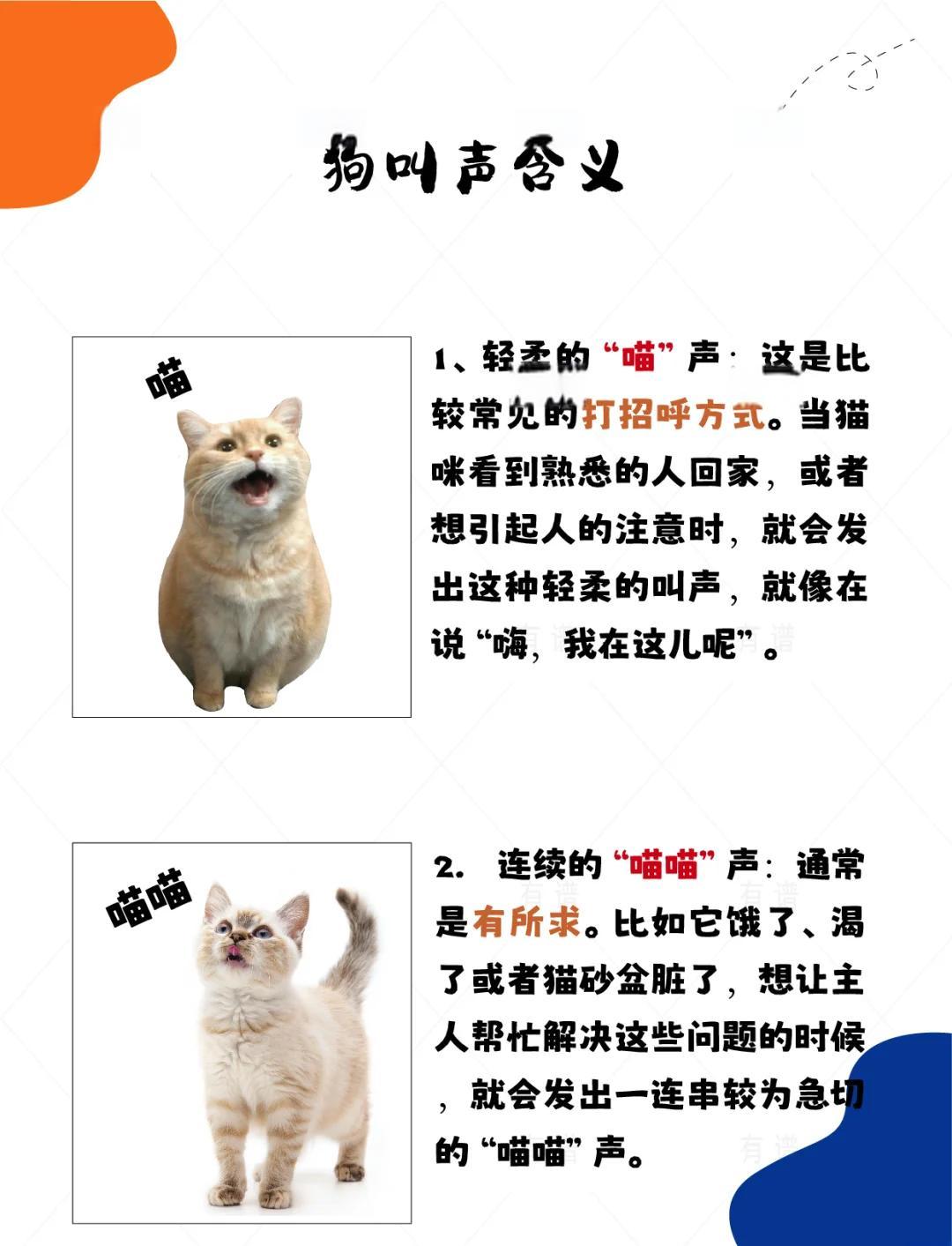 能吓走老鼠的猫叫声