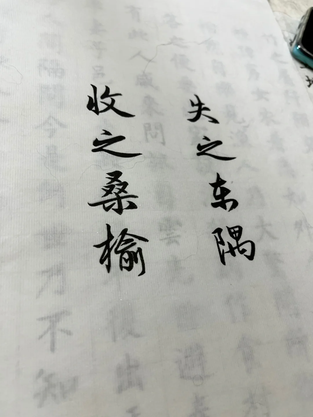 失之东隅收之桑榆是什么意思蚂蚁庄园