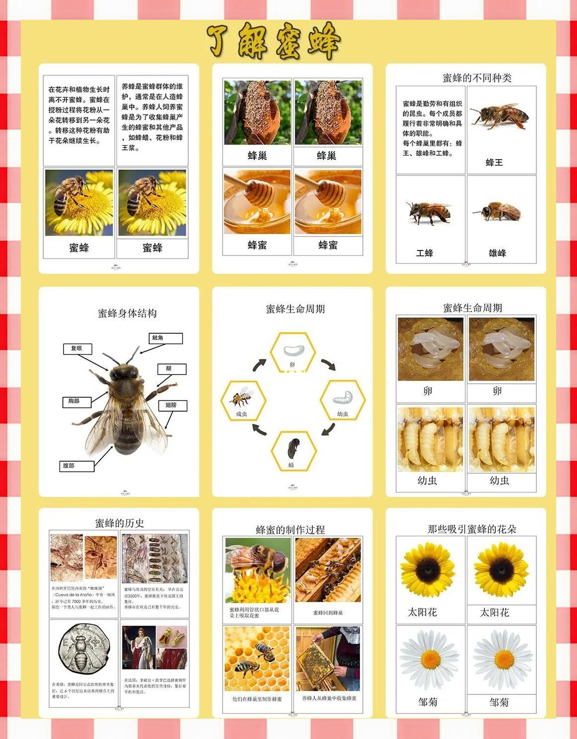 蜜蜂螨虫病症状是什么