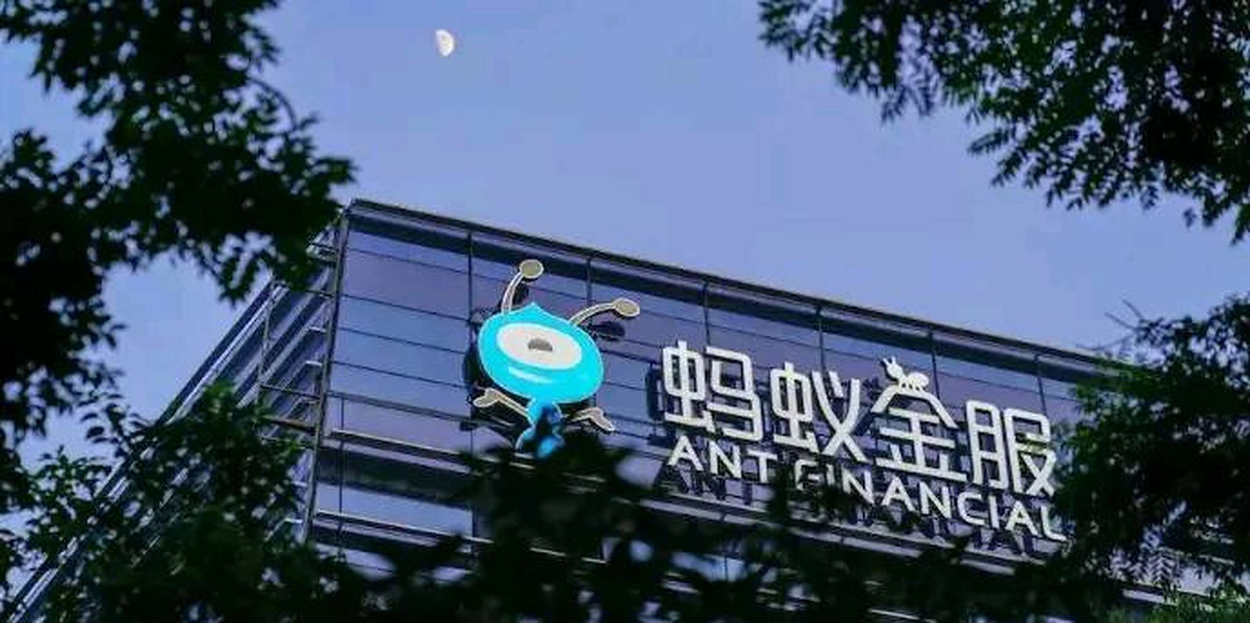 蚂蚁金服代码后三位是什么