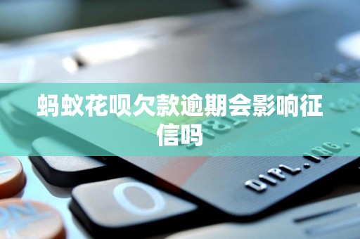 花呗不还会进征信吗