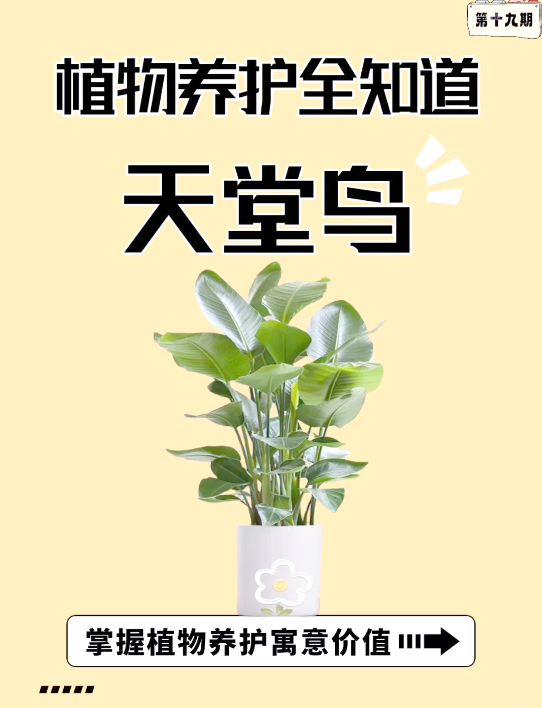 钱平惠