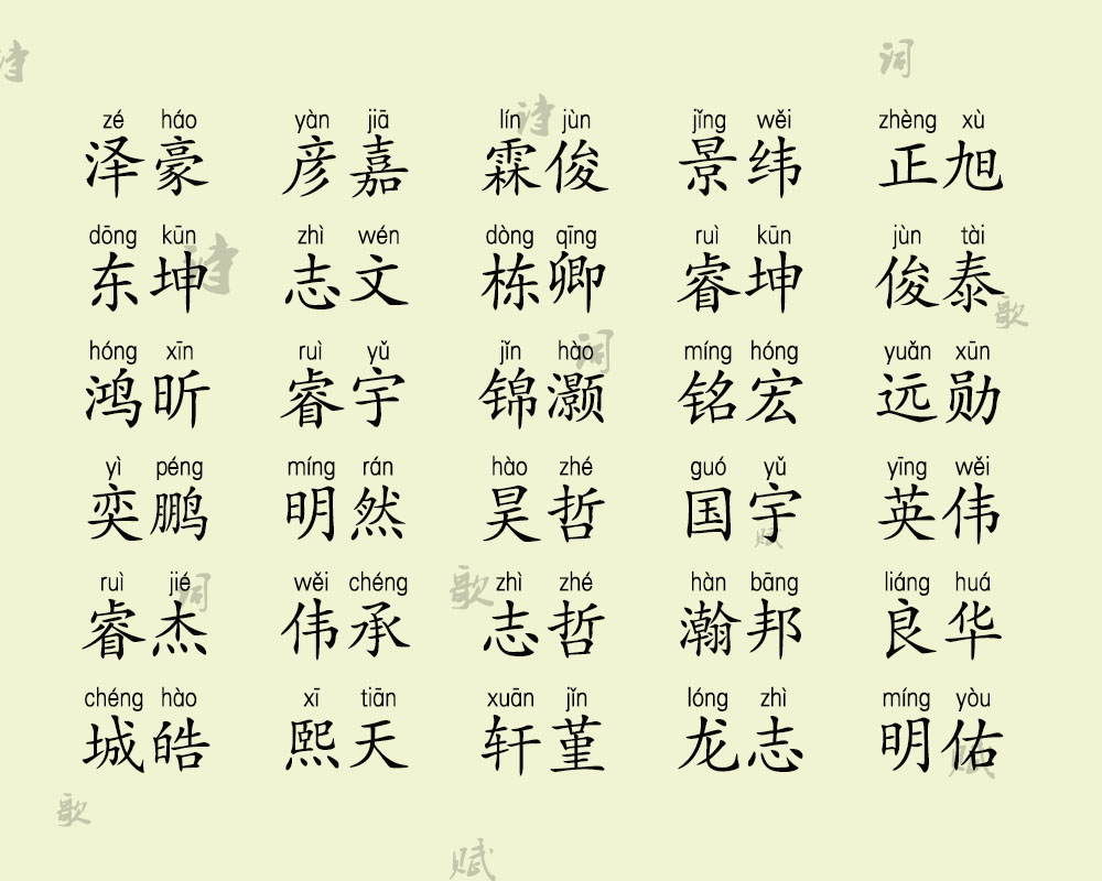 猪宝宝男孩取名大全字典
