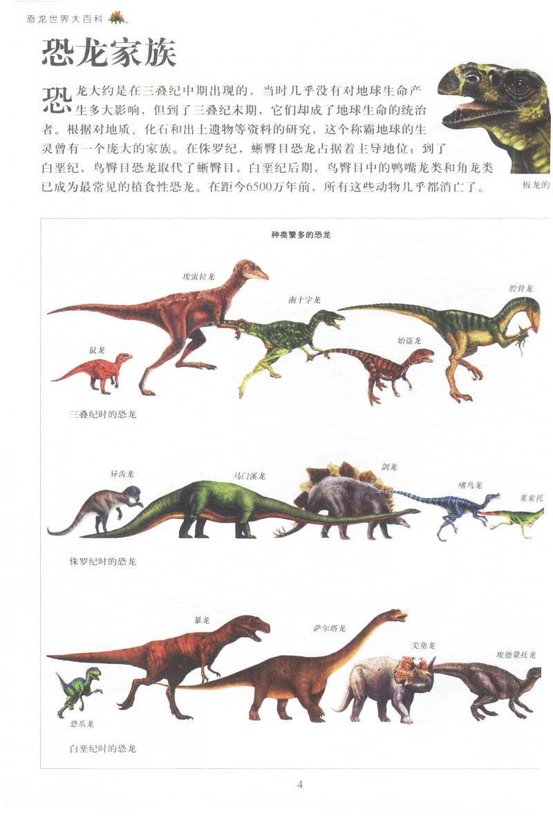 介绍恐龙的相关资料