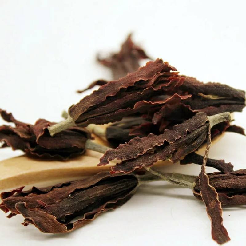 肾花是什么花
