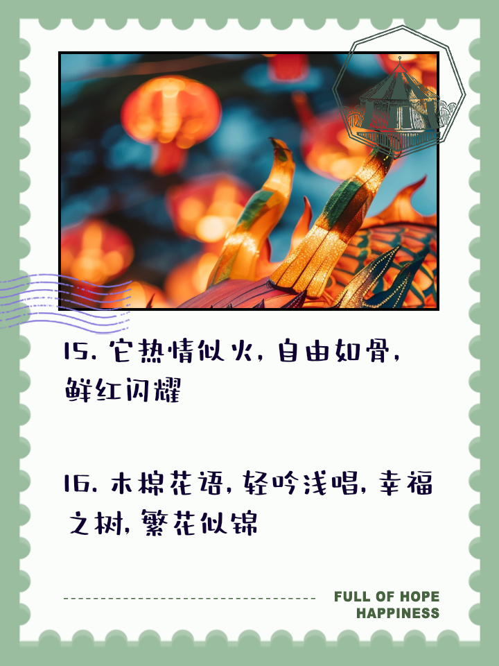 关于木棉花的说说