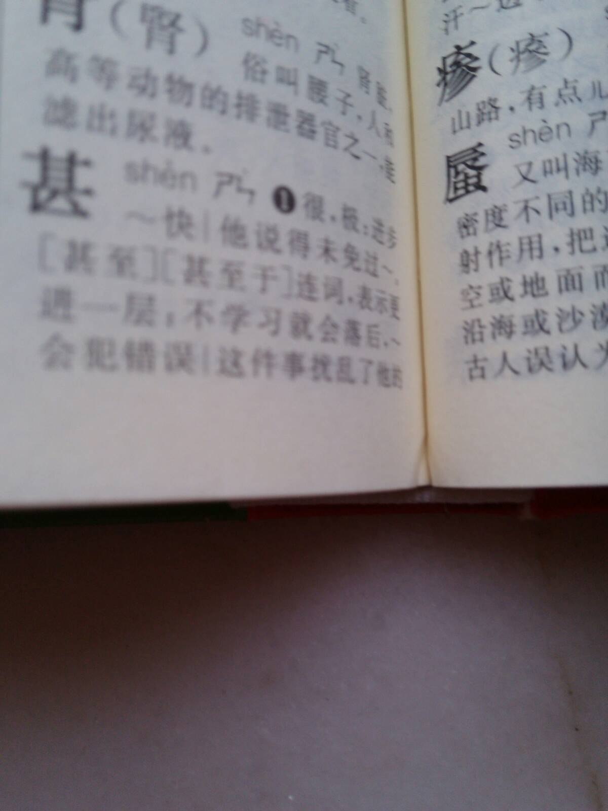 一个言字旁一个甚是什么意思