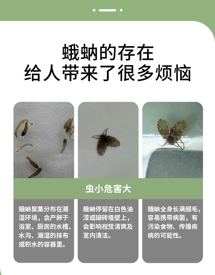 家里有飞蛾的去除方法视频