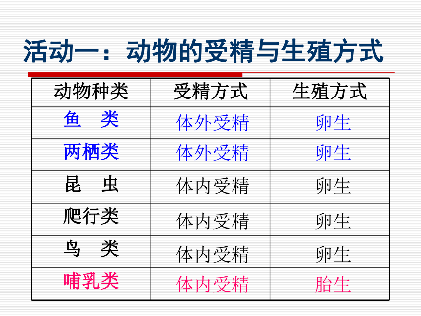 动物是怎样繁殖的 方式