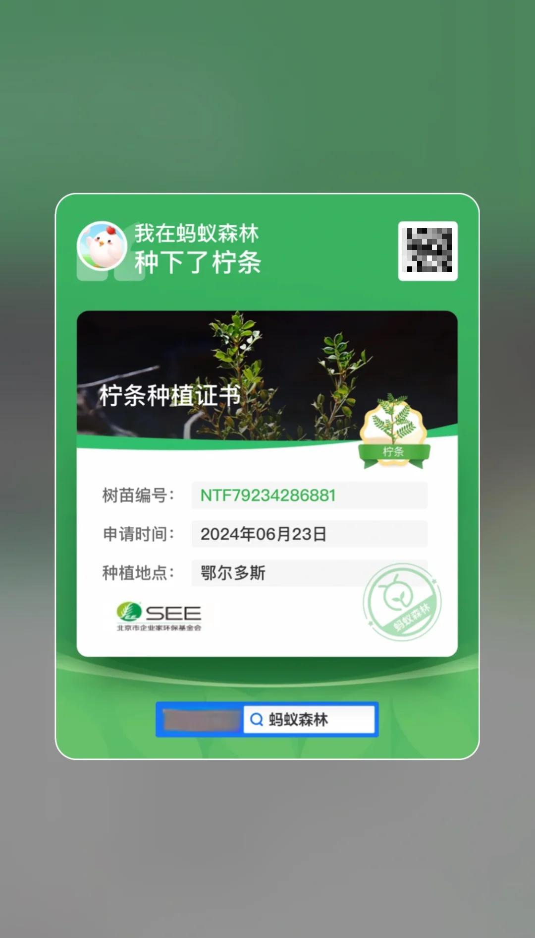 蚂蚁森林多少能量树最大形态