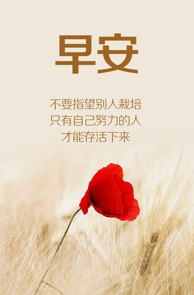鼓励人正能量的说说