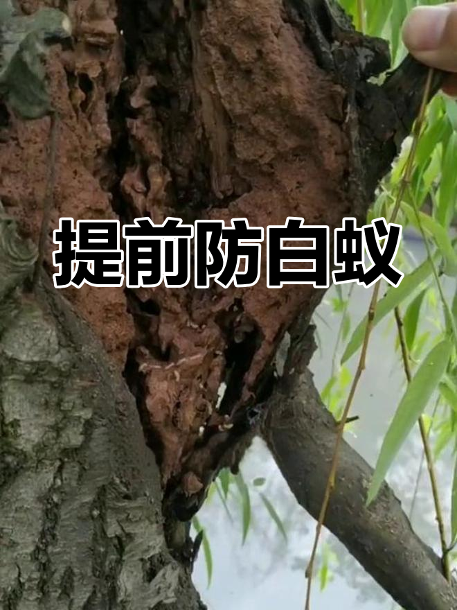 2025年10月18日 第21页