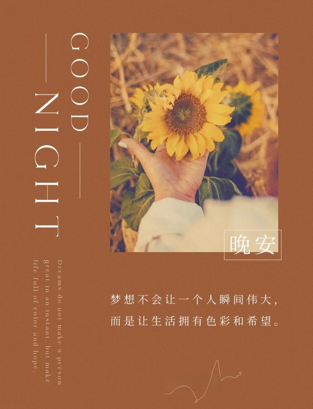 晚安分享文案