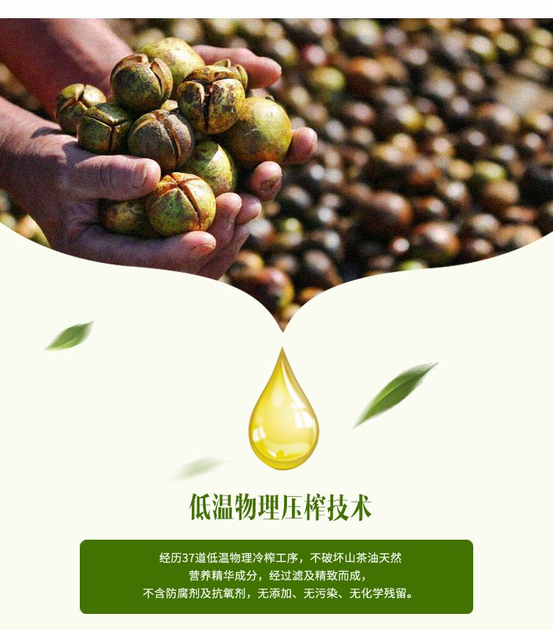 野山茶油的简介