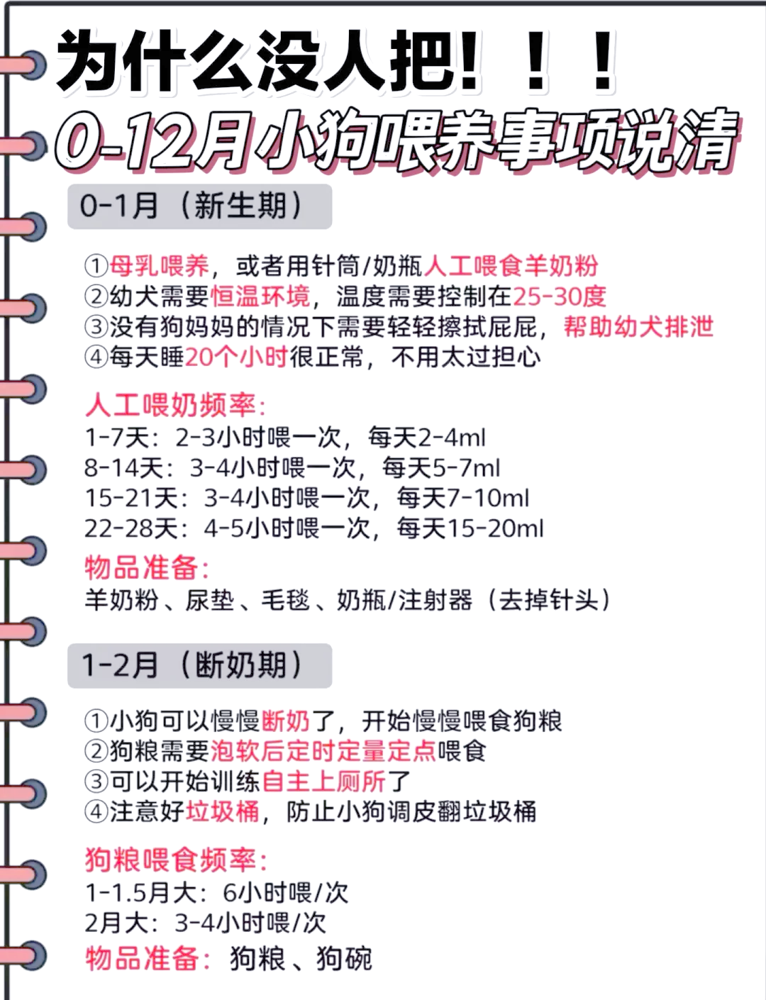 宠物狗几个月认主人