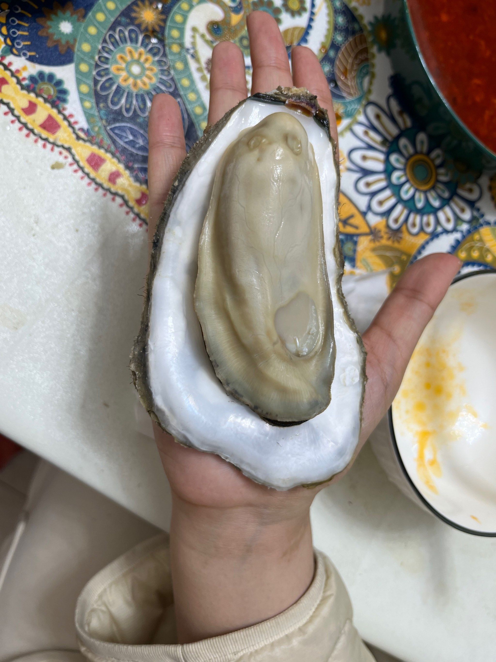 生蚝煮几分钟可以煮熟