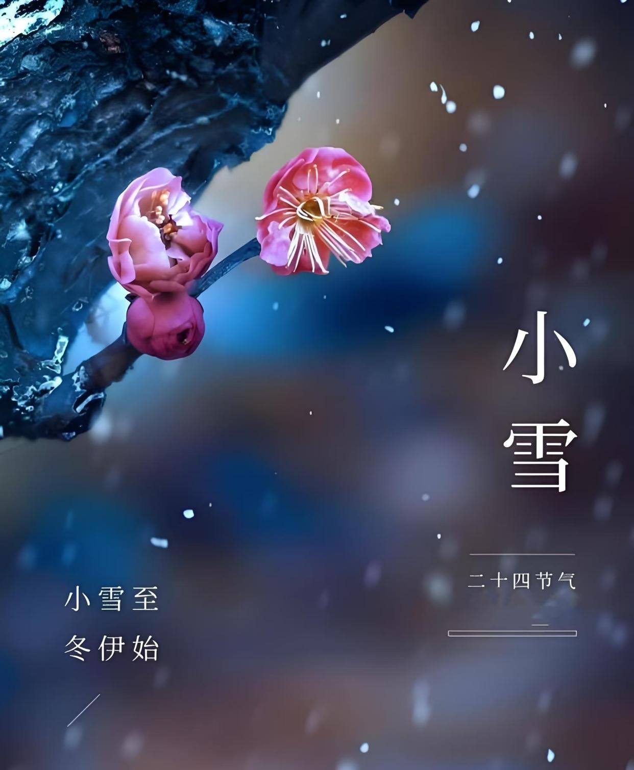 2025年小雪是几月几日