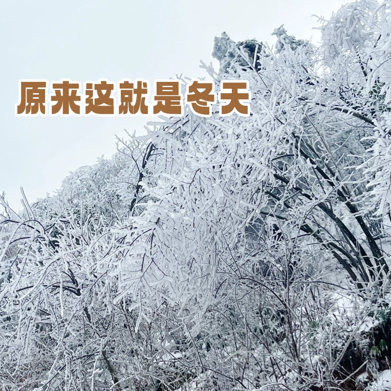 梦想总是遥不可及下一句