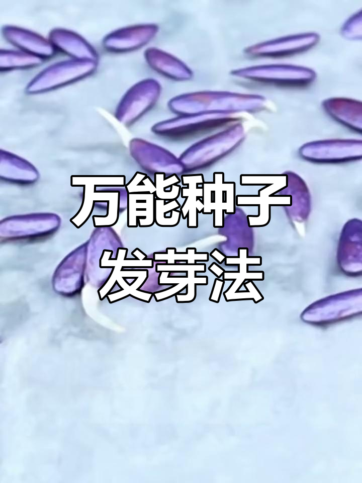 如何催芽