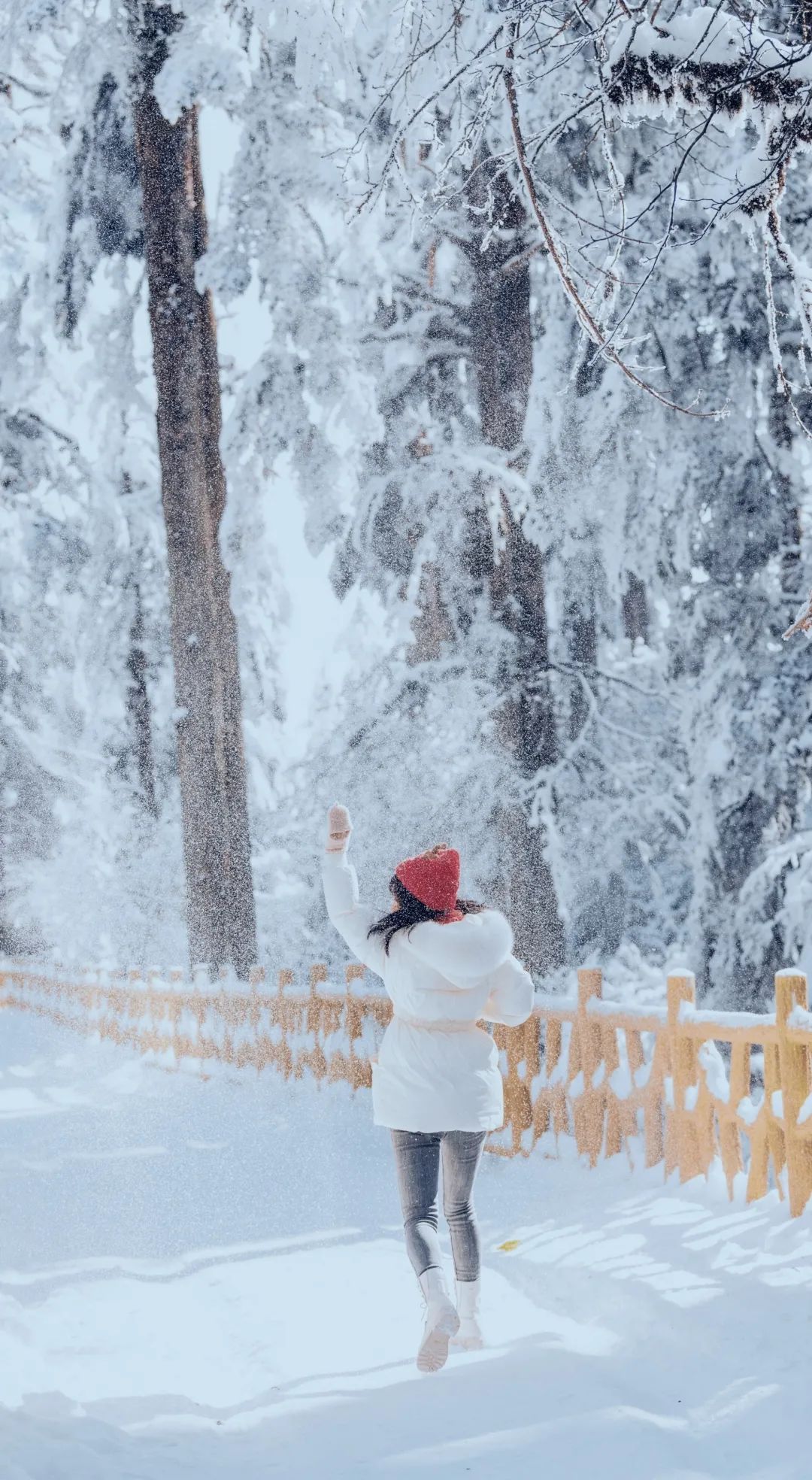 如何拍雪景的高级感