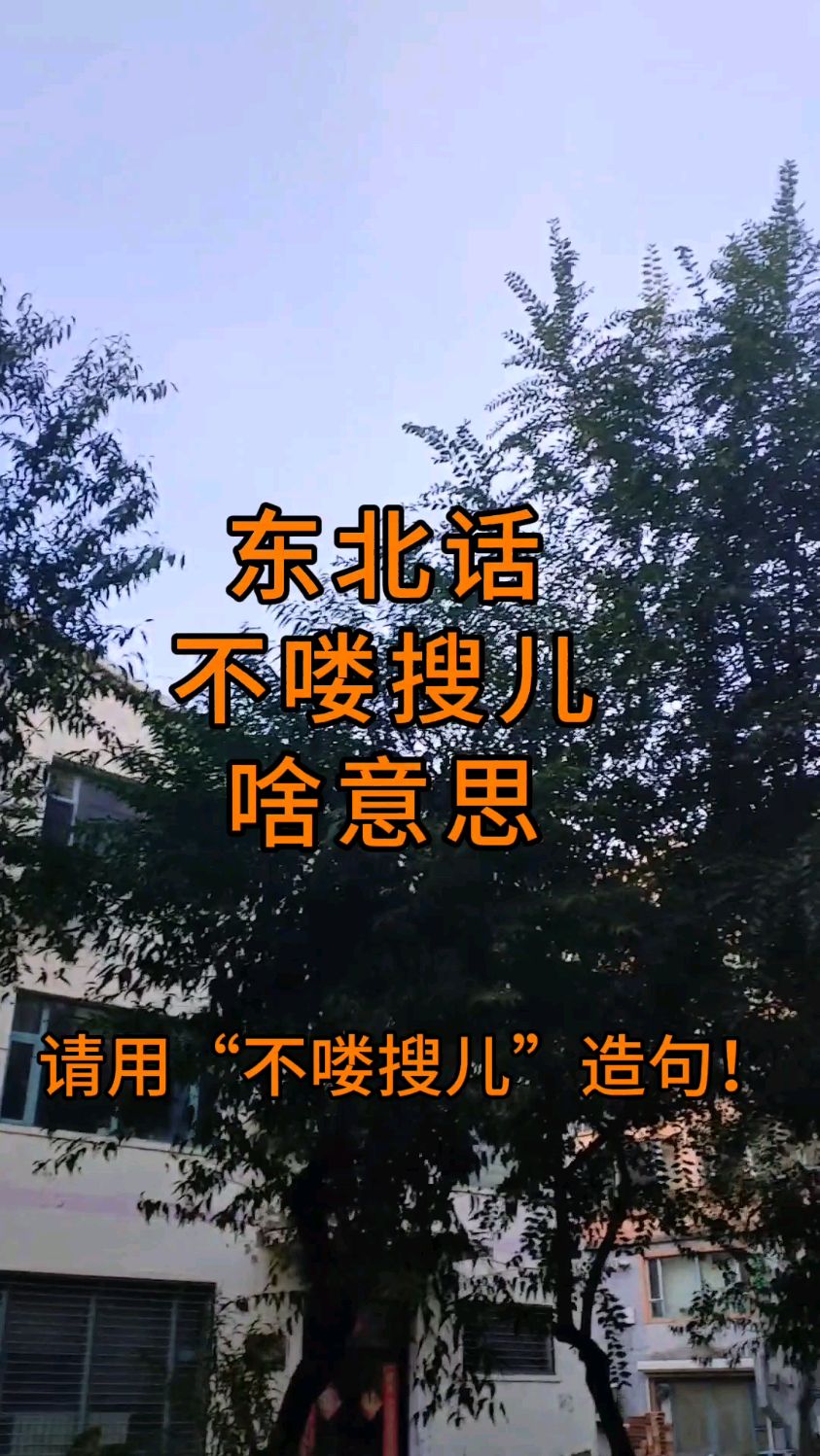 东北人异性称呼铁子啥意思