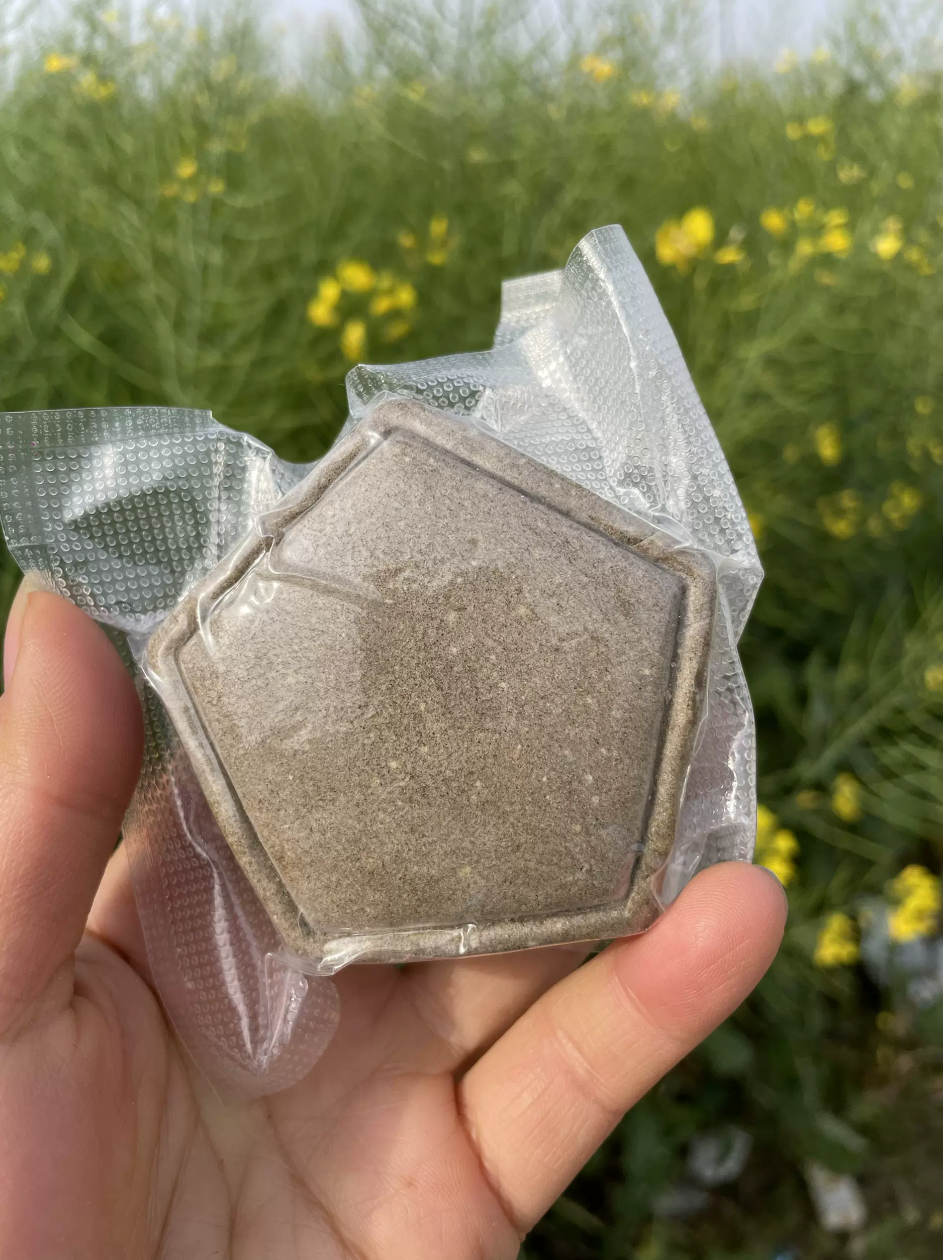 乌发茶哪种效果最好