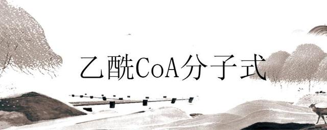 产品的coa是什么意思