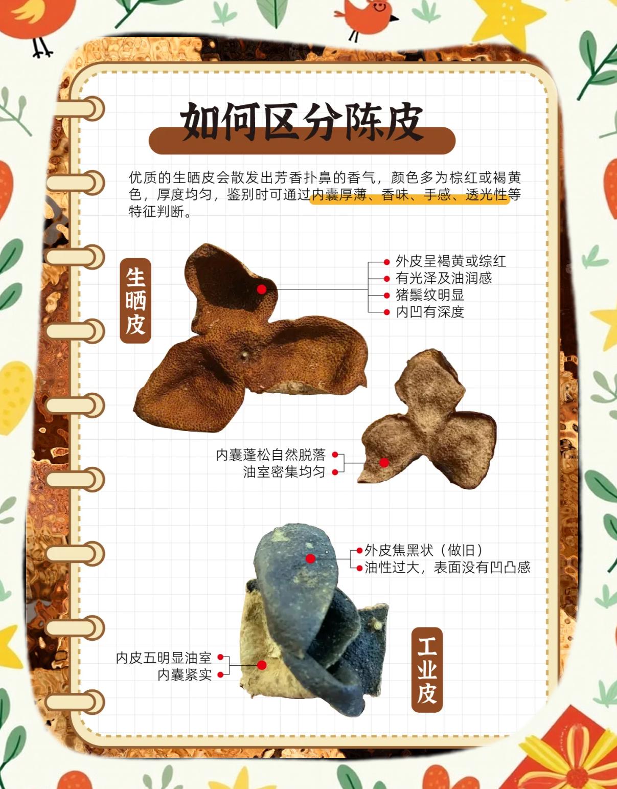 如何自制陈皮 陈皮的做法