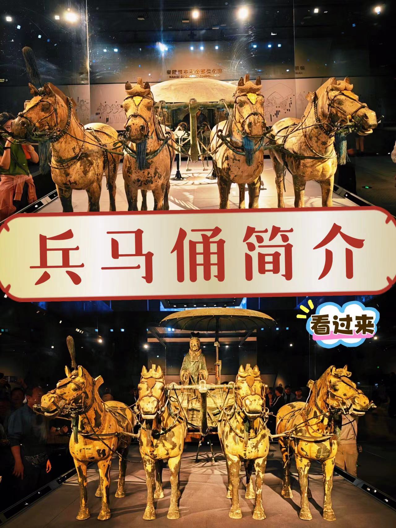 秦始皇陵兵马俑资料整理