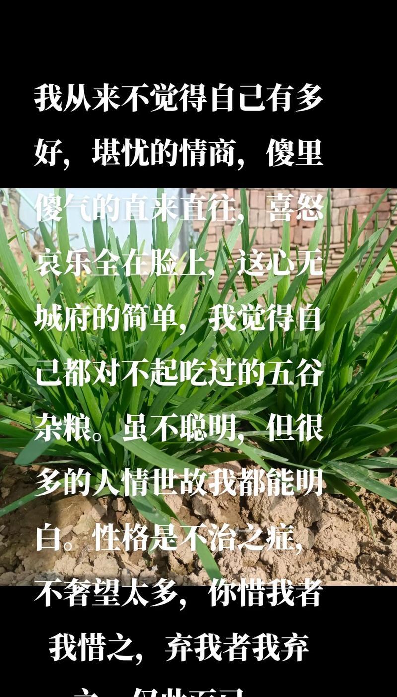 葱葱郁郁的解释