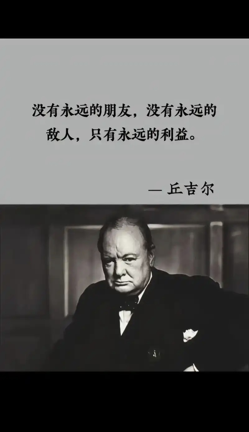 没有永远的朋友只有永远的利益意思