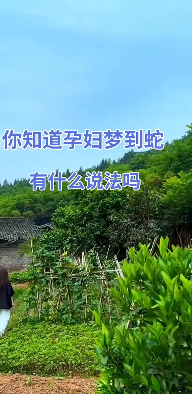 梦到蛇代表什么预兆