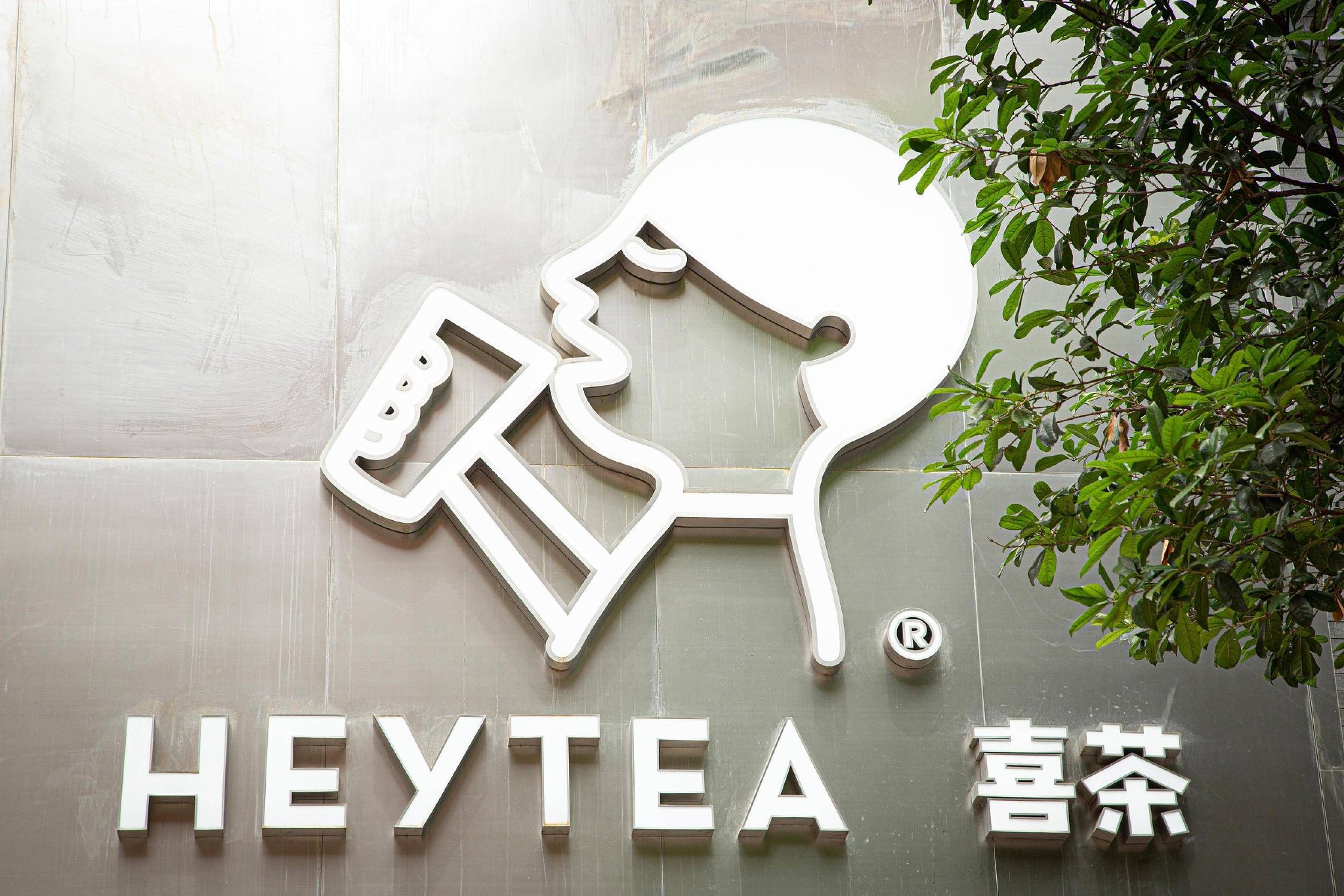 喜茶到底是什么茶