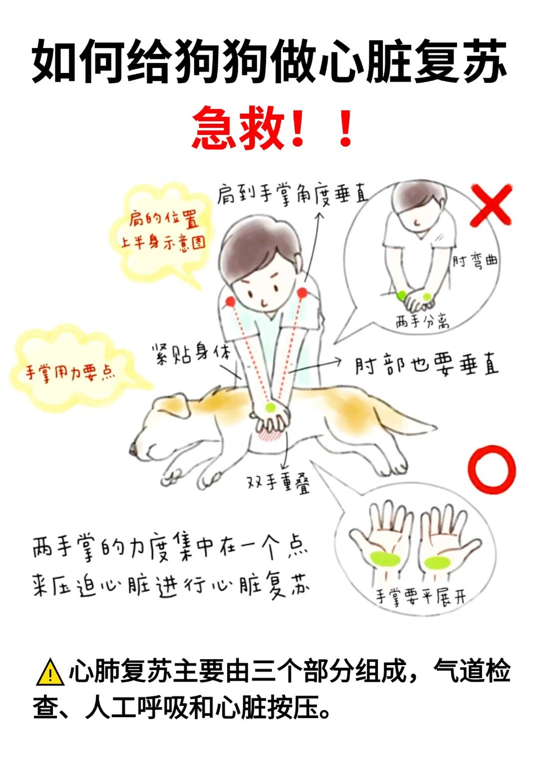 狗狗卡住人的新闻