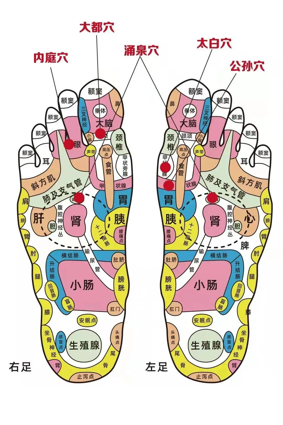艾灸脚心的功效和作用?