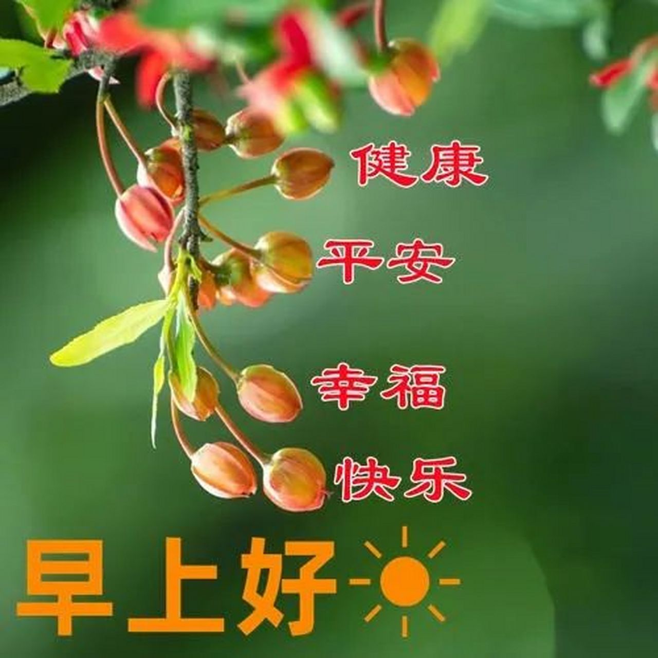 早上好 祝福短语