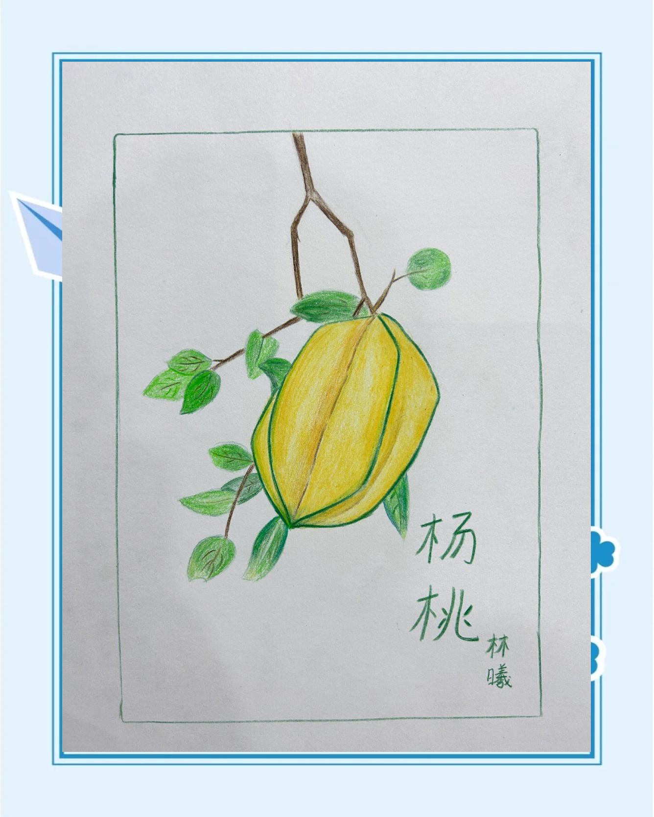 画杨桃告诉我们什么道理二个,已极举一列子
