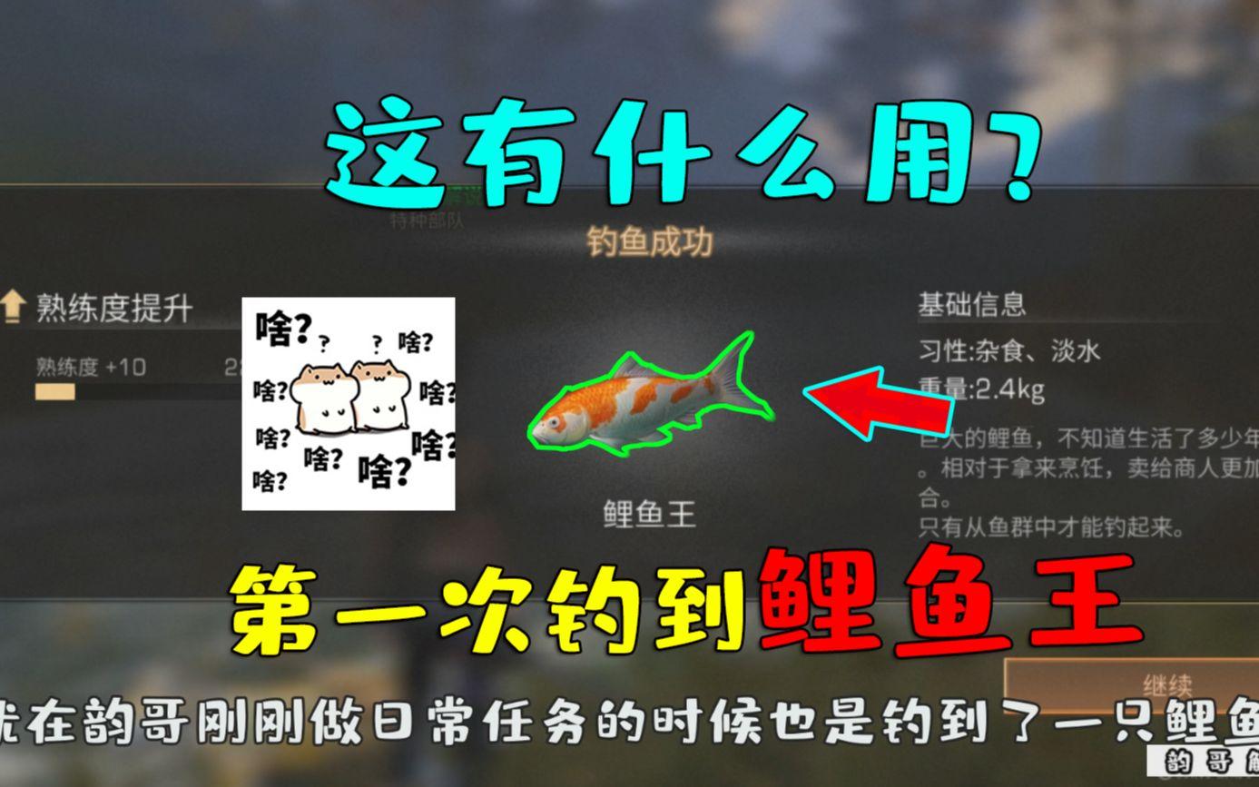明日之后钓鱼攻略大全所有鱼在哪钓