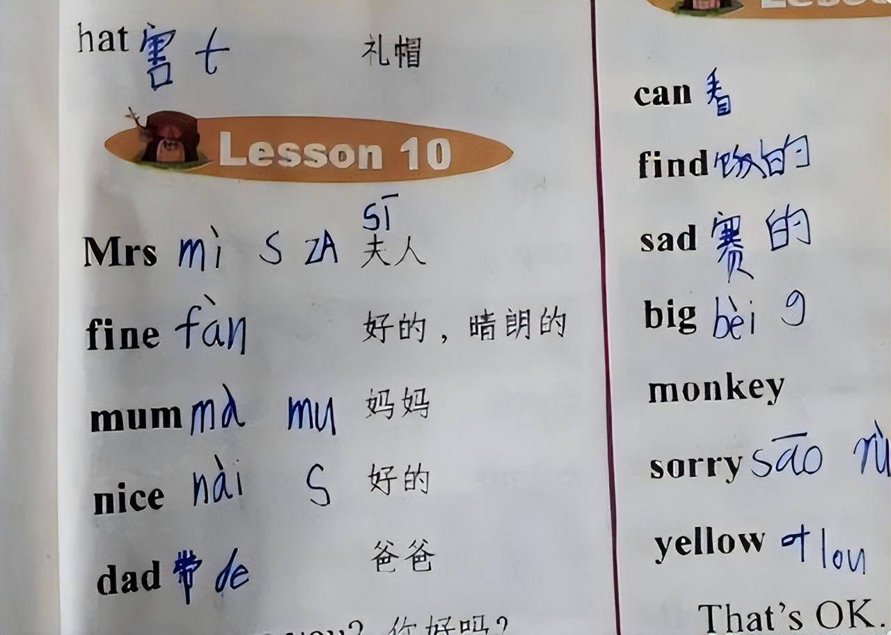 梗的意思是